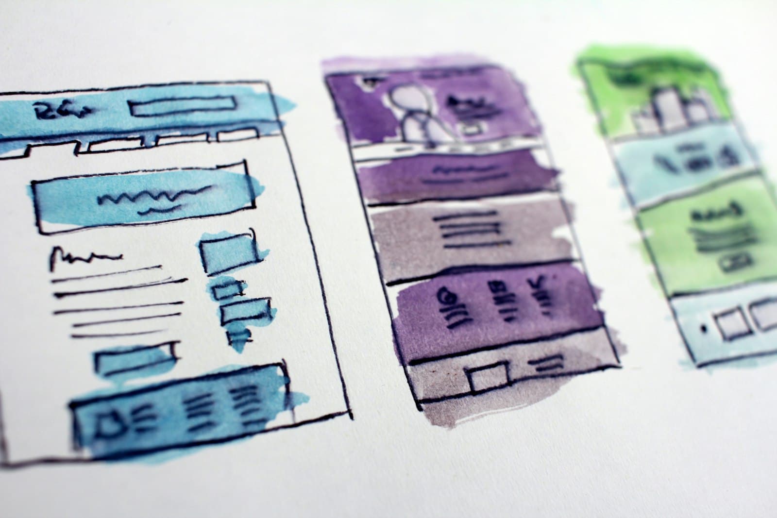 Brand & Digital System